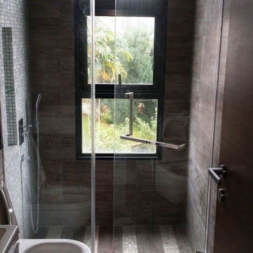 Shower Glass Swing Door
