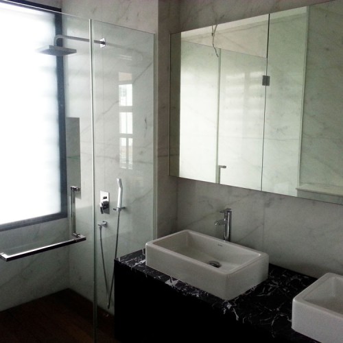 Shower Glass Swing Door and Mirror